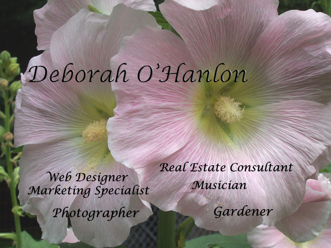 Deb O'Hanlon's Home Page